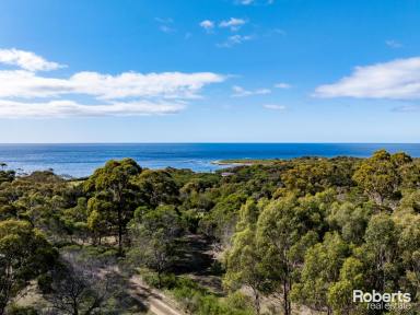 Residential Block For Sale - TAS - Bicheno - 7215 - Bicheno Dreaming - PRICED TO SELL!  (Image 2)