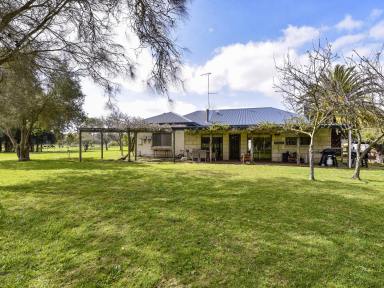 Lifestyle For Sale - SA - Penola - 5277 - Large family home on 48 acres minutes from Penola  (Image 2)