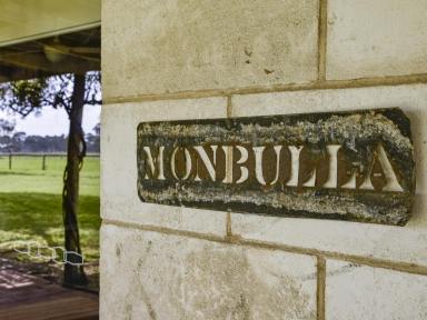 Lifestyle For Sale - SA - Penola - 5277 - Large family home on 48 acres minutes from Penola  (Image 2)