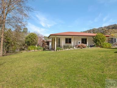 Lifestyle For Sale - VIC - Mudgegonga - 3737 - “Ashlar” A small farming/hospitality property  (Image 2)