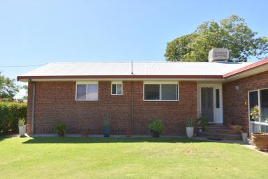 House For Sale - NSW - Moree - 2400 - GREAT FAMILY HOME IN A FANTASTIC LOCATION  (Image 2)