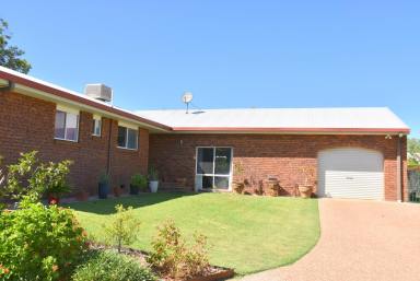 House For Sale - NSW - Moree - 2400 - GREAT FAMILY HOME IN A FANTASTIC LOCATION  (Image 2)