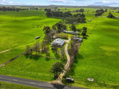 Lifestyle For Sale - SA - Glencoe - 5291 - Beautiful character filled home on 45 acres  (Image 2)