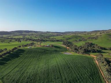 Mixed Farming For Sale - NSW - Pulletop - 2650 - Riverina Production Powerhouse with Carbon opportunities  (Image 2)