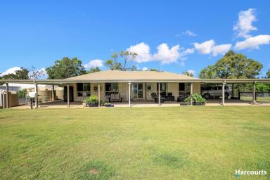 Acreage/Semi-rural For Sale - QLD - Good Night - 4671 - You Will Need An Excuse To Leave!!  (Image 2)