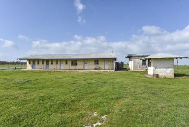 Mixed Farming For Sale - SA - Avenue Range - 5273 - Reliable Avenue Range Property  (Image 2)
