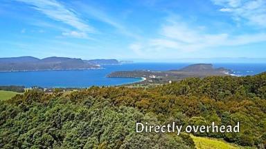 Residential Block For Sale - TAS - Port Arthur - 7182 - "Sea and Tree Changers" Is this the life change you've been dreaming of?  (Image 2)