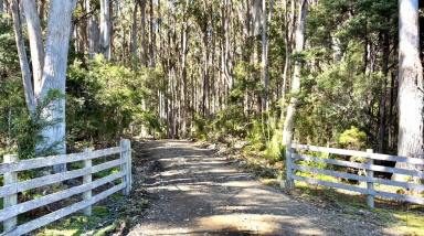 Residential Block For Sale - TAS - Port Arthur - 7182 - "Sea and Tree Changers" Is this the life change you've been dreaming of?  (Image 2)