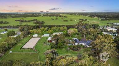 Acreage/Semi-rural Sold - VIC - Mornington - 3931 - Premier Rural Estate In Mornington  (Image 2)