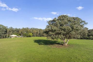 House For Sale - VIC - Euroa - 3666 - Architecturally Designed with Mid Century Elements on 40 Acres - Just 3 Minutes from Euroa Township  (Image 2)