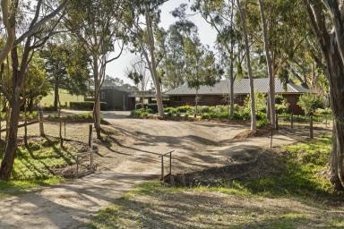 House For Sale - VIC - Euroa - 3666 - Architecturally Designed with Mid Century Elements on 40 Acres - Just 3 Minutes from Euroa Township  (Image 2)