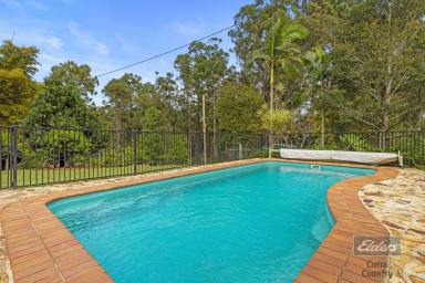 House For Sale - QLD - Glenwood - 4570 - COMPLETE PRIVACY AND POOL!  (Image 2)