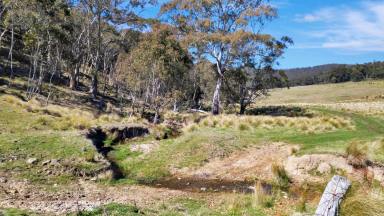 Other (Rural) For Sale - NSW - Mount Lambie - 2790 - Mount Lambie Solitary Escape - 42.9 Ha  (Image 2)