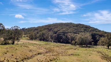 Other (Rural) For Sale - NSW - Mount Lambie - 2790 - Mount Lambie Solitary Escape - 42.9 Ha  (Image 2)