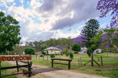Livestock For Sale - QLD - Boyne Valley - 4680 - YOUR OWN PIECE OF PARADISE  (Image 2)