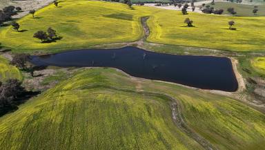 Mixed Farming For Sale - NSW - Cowra - 2794 - Location, Soil & Rainfall  (Image 2)