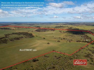 Other (Rural) For Sale - SA - Peep Hill - 5374 - Cropping and Grazing Land/ Suit Farm Expansion/ Suit Weekend Getaway Allotments/ Excellent Home Sites.  (Image 2)