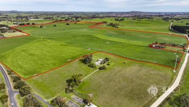 Horticulture For Sale - SA - Glenburnie - 5291 - PRIME OPPORTUNITY ON THE EDGE OF THE CITY  (Image 2)