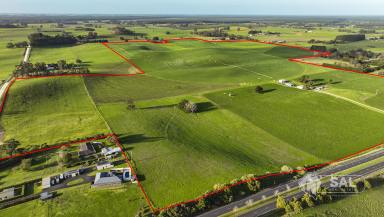 Horticulture For Sale - SA - Glenburnie - 5291 - PRIME OPPORTUNITY ON THE EDGE OF THE CITY  (Image 2)