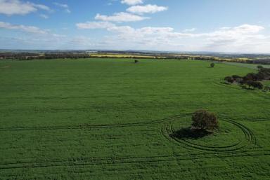 Mixed Farming For Sale - WA - Kauring - 6302 - "Greenhills Farm"  590 Cubbine Rd, Kauring                           382.64ha (945.12acres)  (Image 2)