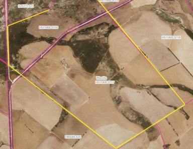 Commercial Farming Leased - SA - Fountain - 5607 - Wanilla Farm For Lease by Expression of Interest  (Image 2)