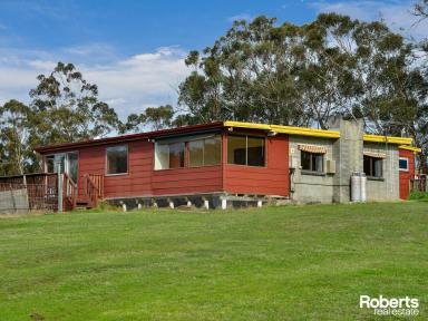 House Sold - TAS - Westerway - 7140 - A Piece of Rural Paradise  (Image 2)