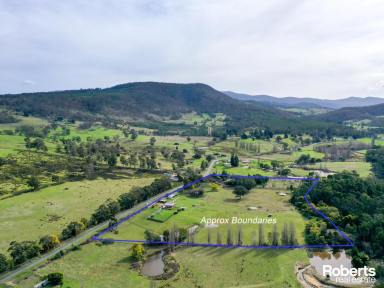 House Sold - TAS - Westerway - 7140 - A Piece of Rural Paradise  (Image 2)