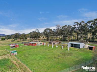 House For Sale - TAS - Westerway - 7140 - A Piece of Rural Paradise  (Image 2)