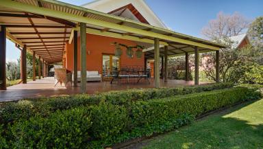 Lifestyle For Sale - NSW - Rawsonville - 2830 - A blue-ribbon rural lifestyle property  (Image 2)