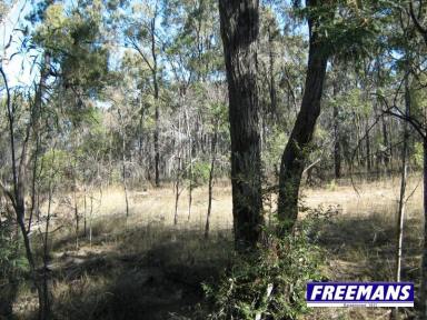 Residential Block For Sale - QLD - Coverty - 4613 - 101 acres of natural bushland  (Image 2)