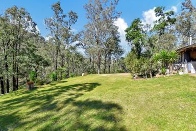 Acreage/Semi-rural For Sale - NSW - Laguna - 2325 - Eclectic Studio Retreat Full of Charm & Character  (Image 2)