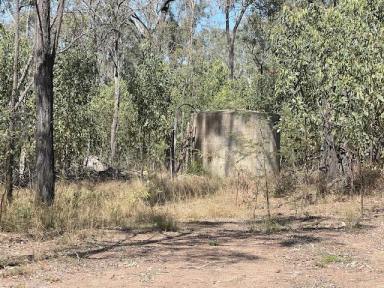 Lifestyle Sold - QLD - Coverty - 4613 - Country Clean-Up Opportunity: Hidden Treasures Await on 40 Acres  (Image 2)