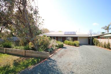 House For Sale - VIC - Rochester - 3561 - 3-BEDROOM BRICK VENEER HOME WITH MODERN FEATURES AND SPACIOUS GARDENS  (Image 2)