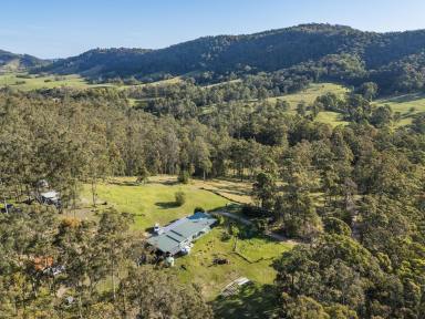 Lifestyle For Sale - NSW - Stroud - 2425 - Private Lifestyle Retreat on 113 Acres  (Image 2)