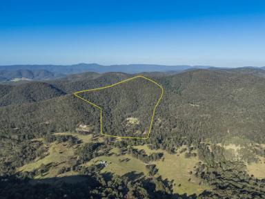 Lifestyle For Sale - NSW - Stroud - 2425 - Private Lifestyle Retreat on 113 Acres  (Image 2)