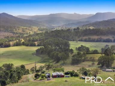 House Sold - NSW - Kyogle - 2474 - Stylish Off-Grid Living  (Image 2)