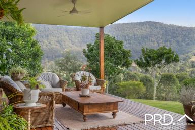 House Sold - NSW - Kyogle - 2474 - Stylish Off-Grid Living  (Image 2)