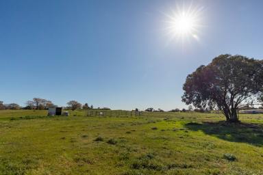 Residential Block For Sale - NSW - Temora - 2666 - 5 Acre Opportunity - Subdivision Approved!  (Image 2)