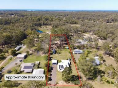 Acreage/Semi-rural For Sale - NSW - Old Bar - 2430 - SUSTAINABLE LIFESTYLE ACREAGE ON THE COAST  (Image 2)