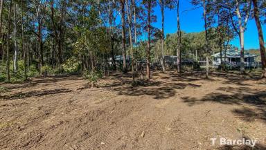 Residential Block For Sale - QLD - Russell Island - 4184 - North- End and Adjacent to Council Open Space and Recreation Land  (Image 2)