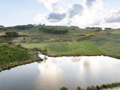 Acreage/Semi-rural For Sale - NSW - Jerrawa - 2582 - Divorce Dictates Sale - Owners Must Sell to Finalise Settlement  (Image 2)