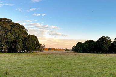 Livestock Sold - NSW - Taralga - 2580 - Rural land, close to village - with building entitlement.  (Image 2)