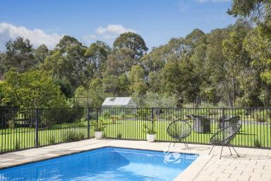 House For Sale - WA - Cowaramup - 6284 - CALLING ALL NATURE LOVERS  (Image 2)