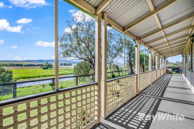 Lifestyle Sold - NSW - Jerrys Plains - 2330 - Horse Friendly Property on 2 Acres!  (Image 2)