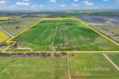 Cropping For Sale - VIC - Girgarre - 3624 - Agricultural Ventures  (Image 2)