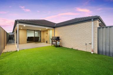 House Sold - WA - Aveley - 6069 - Modern Elegance and Convenience  (Image 2)