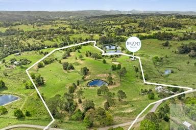 Residential Block Sold - QLD - Dulong - 4560 - SOLD BY BRANT PROPERTY!  (Image 2)