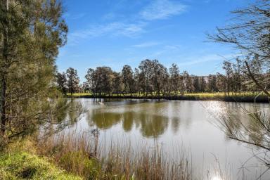 Livestock For Sale - NSW - Berry - 2535 - "Gracelea" Unique 34.83 Hectare Waterfront Property  (Image 2)