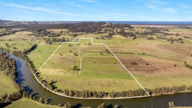 Livestock For Sale - NSW - Berry - 2535 - "Gracelea" Unique 34.83 Hectare Waterfront Property  (Image 2)
