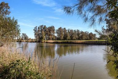 Livestock For Sale - NSW - Berry - 2535 - "Gracelea" Unique 34.83 Hectare Waterfront Property  (Image 2)